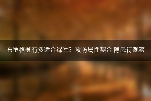 布罗格登有多适合绿军？攻防属性契合 隐患待观察