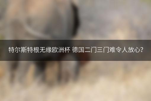 特尔斯特根无缘欧洲杯 德国二门三门难令人放心？