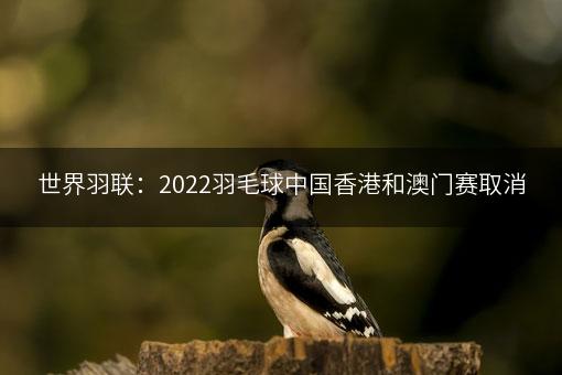 世界羽联：2022羽毛球中国香港和澳门赛取消