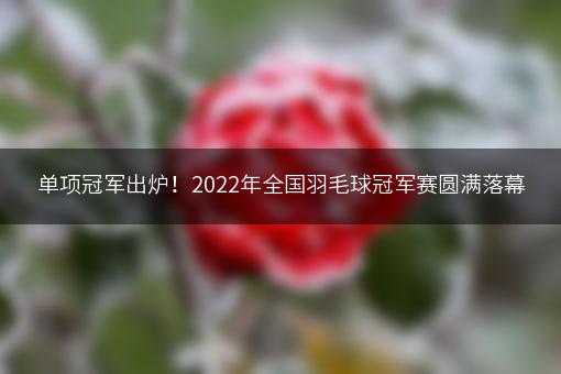 单项冠军出炉！2022年全国羽毛球冠军赛圆满落幕