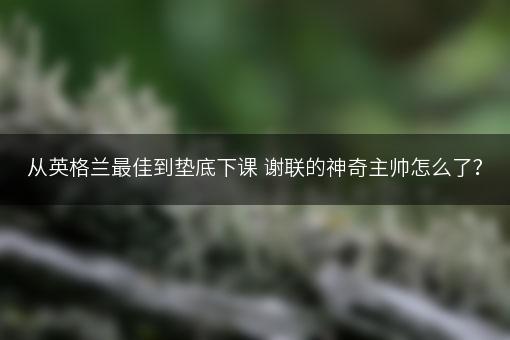 从英格兰最佳到垫底下课 谢联的神奇主帅怎么了？