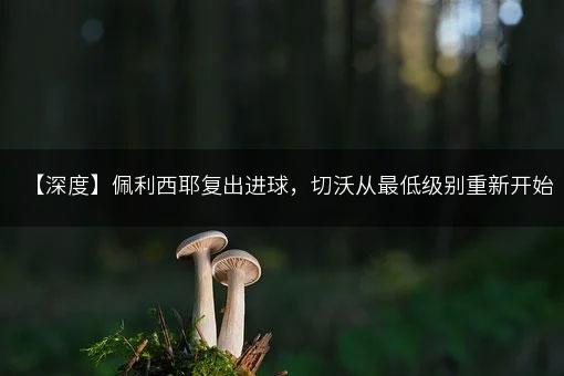 【深度】佩利西耶复出进球，切沃从最低级别重新开始