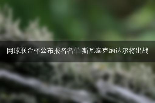 网球联合杯公布报名名单 斯瓦泰克纳达尔将出战