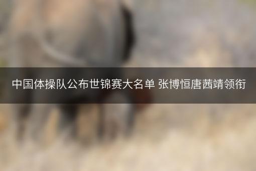 中国体操队公布世锦赛大名单 张博恒唐茜靖领衔