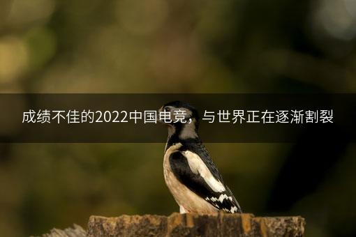 成绩不佳的2022中国电竞，与世界正在逐渐割裂