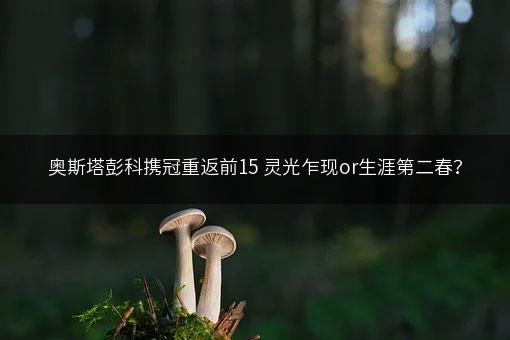 奥斯塔彭科携冠重返前15 灵光乍现or生涯第二春？