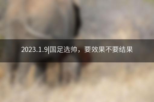 2023.1.9|国足选帅，要效果不要结果