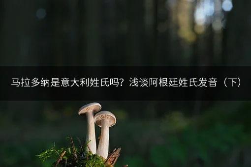 马拉多纳是意大利姓氏吗？浅谈阿根廷姓氏发音（下）