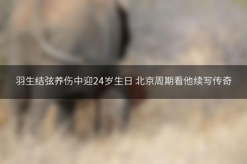 羽生结弦养伤中迎24岁生日 北京周期看他续写传奇