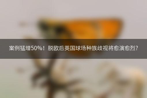 案例猛增50%！脱欧后英国球场种族歧视将愈演愈烈?