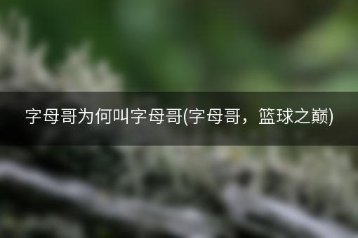 字母哥为何叫字母哥(字母哥，篮球之巅)