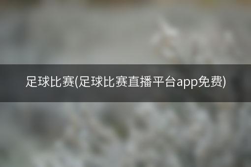 足球比赛(足球比赛直播平台app免费)