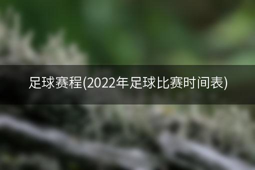 足球赛程(2022年足球比赛时间表)