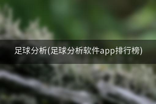 足球分析(足球分析软件app排行榜)