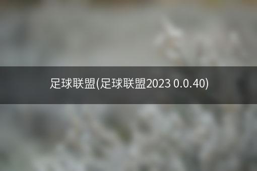 足球联盟(足球联盟2023 0.0.40)