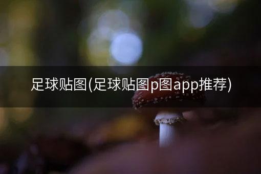 足球贴图(足球贴图p图app推荐)