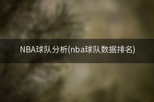 NBA球队分析(nba球队数据排名)