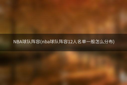 NBA球队阵容(nba球队阵容12人名单一般怎么分布)