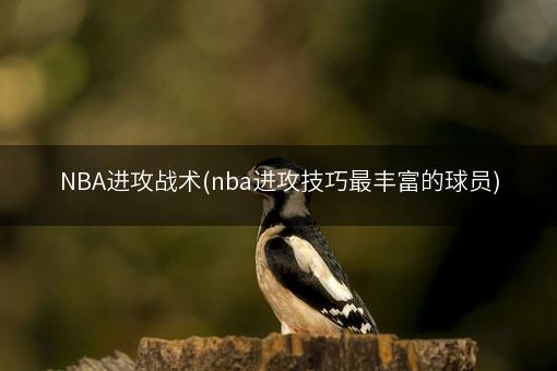 NBA进攻战术(nba进攻技巧最丰富的球员)