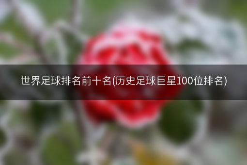 世界足球排名前十名(历史足球巨星100位排名)