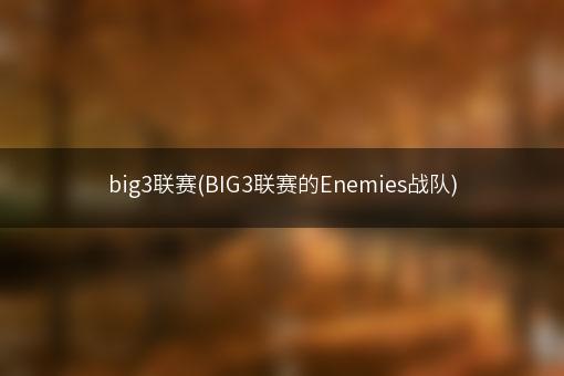 big3联赛(BIG3联赛的Enemies战队)