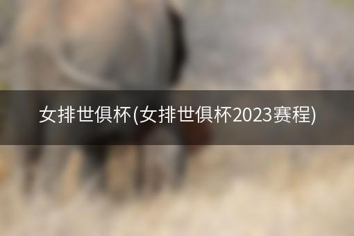 女排世俱杯(女排世俱杯2023赛程)