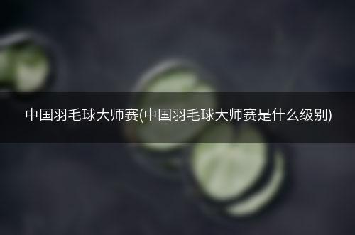 中国羽毛球大师赛(中国羽毛球大师赛是什么级别)