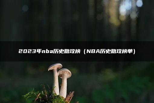 2023年nba历史助攻榜（NBA历史助攻榜单）