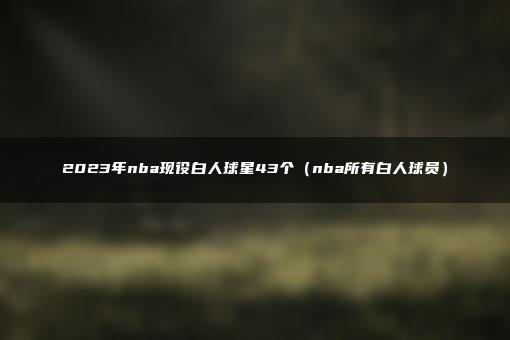 2023年nba现役白人球星43个（nba所有白人球员）