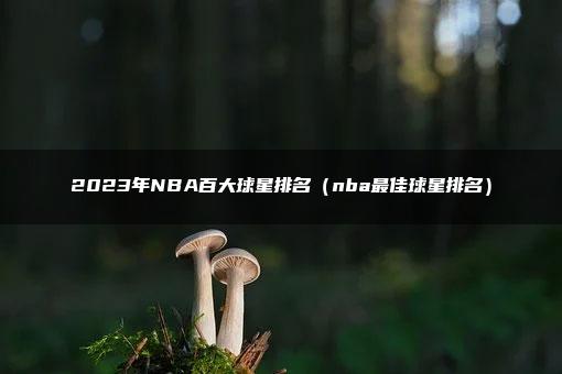 2023年NBA百大球星排名（nba最佳球星排名）