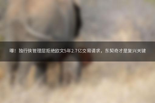 曝！独行侠管理层拒绝欧文5年2.7亿交易请求，东契奇才是复兴关键