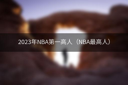 2023年NBA第一高人（NBA最高人）