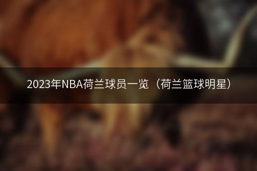 2023年NBA荷兰球员一览（荷兰篮球明星）