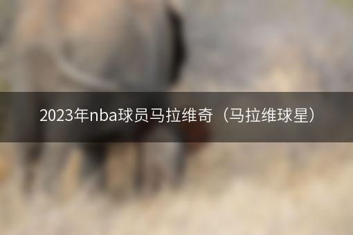 2023年nba球员马拉维奇（马拉维球星）