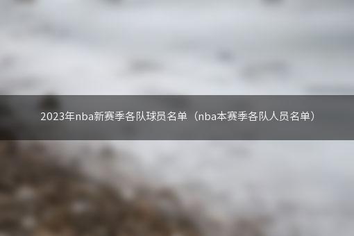 2023年nba新赛季各队球员名单（nba本赛季各队人员名单）