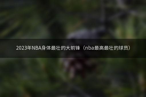 2023年NBA身体最壮的大前锋（nba最高最壮的球员）