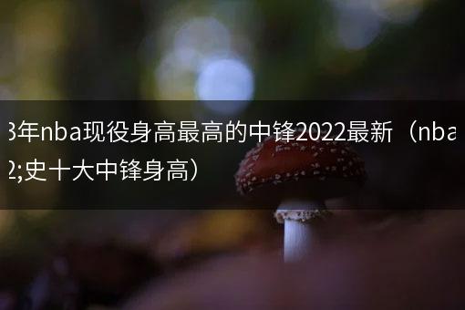 2023年nba现役身高最高的中锋2022最新（nba历史十大中锋身高）