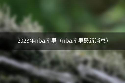 2023年nba库里（nba库里最新消息）