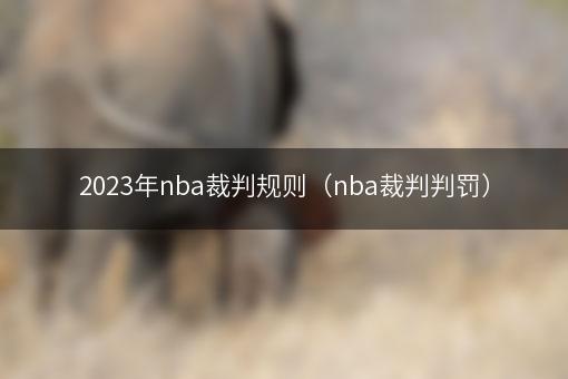 2023年nba裁判规则（nba裁判判罚）