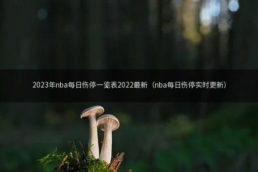 2023年nba每日伤停一览表2022最新（nba每日伤停实时更新）