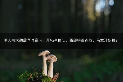 湖人两大劲敌同时赢球！开拓者掉队，西部榜首连败，马龙开始算计