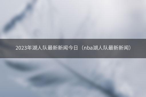 2023年湖人队最新新闻今日（nba湖人队最新新闻）