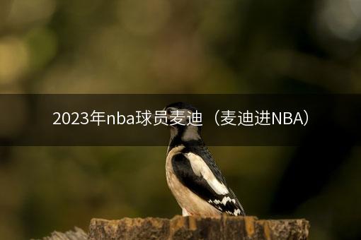 2023年nba球员麦迪（麦迪进NBA）