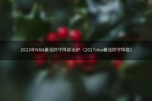 2023年NBA最佳防守阵容出炉（2017nba最佳防守阵容）