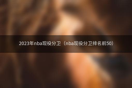 2023年nba现役分卫（nba现役分卫排名前50）