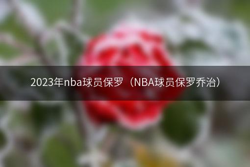 2023年nba球员保罗（NBA球员保罗乔治）