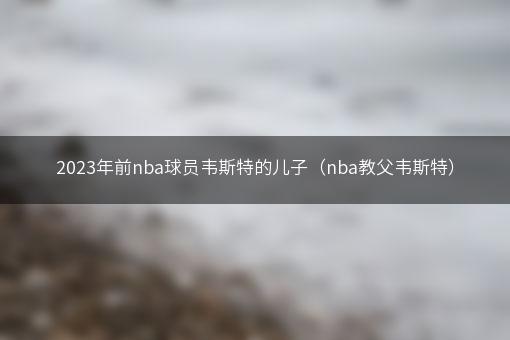 2023年前nba球员韦斯特的儿子（nba教父韦斯特）