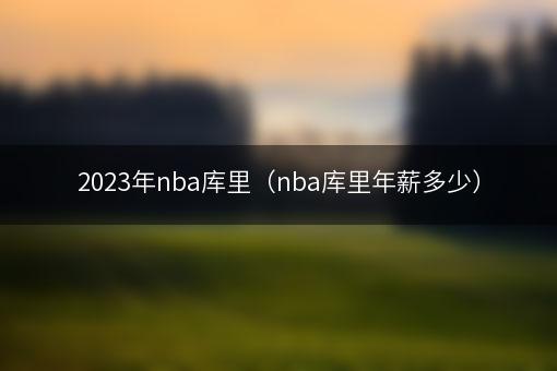 2023年nba库里（nba库里年薪多少）