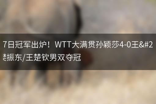 3月17日冠军出炉！WTT大满贯孙颖莎4-0王曼昱 樊振东/王楚钦男双夺冠