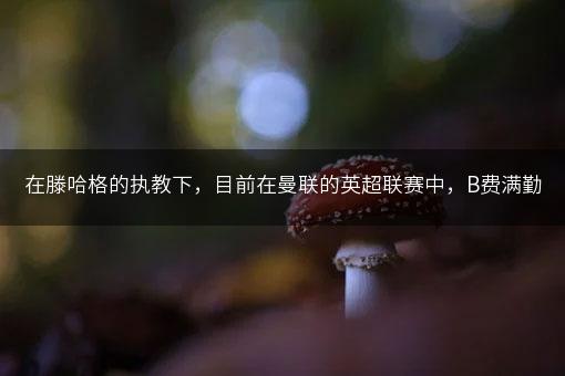 在滕哈格的执教下，目前在曼联的英超联赛中，B费满勤